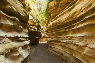 HELL'S GATE, GEOTHERMAL SPA & LAKE NAIVASHA DAY TRIP